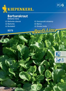 Gorczycznik wiosenny Barbarakraut nasiona – Kiepenkerl