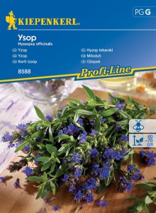 Hyzop lekarski Ysop nasiona – Kiepenkerl
