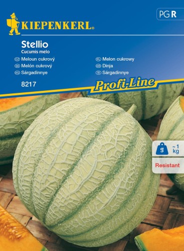 Melon cukrowy Stellio F1 nasiona – Kiepenkerl