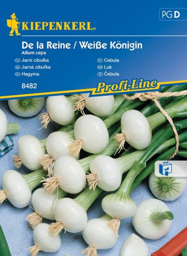 Cebula De la Reine Weisse Königin nasiona – Kiepenkerl