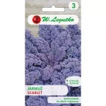 Jarmuż Czerwony Scarlet 1 g Legutko