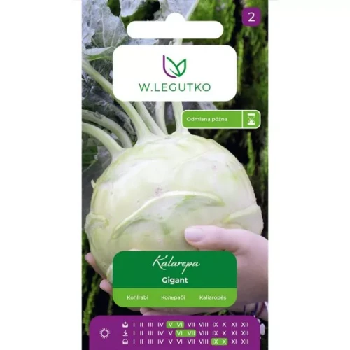 Kalarepa Gigant Legutko 2 g