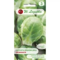 Brukselka Groninger Legutko 1 g