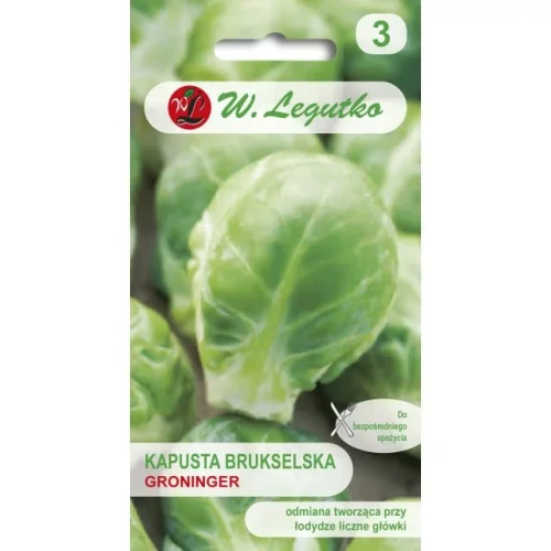 Brukselka Groninger Legutko 1 g