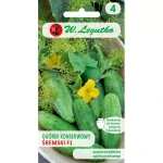 Ogórek gruntowy Śremski F1 Legutko 5 g 