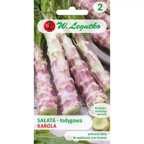 Sałata łodygowa Czerwona Karola Legutko 0,5 g
