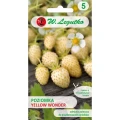 Poziomka żółta Yellow Wonder Legutko 0,1 g