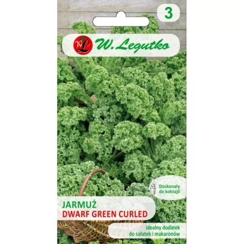 Jarmuż Dwarf Green Curled Legutko 1 g