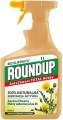 Roundup Antychwast Total RTU Spray Substral 1 l