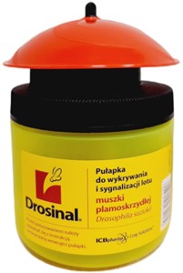 Pułapka na muszkę plamoskrzydłą Drosinal