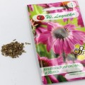 rudbekia (3).jpg