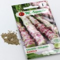 Zawartość opakowania