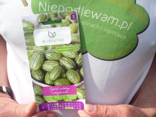 Ogórek ozdobny meksykański Legutko 0,05 g