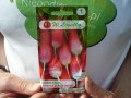 Rzodkiewka De Dix-Huit Jours Legutko 7,5 g