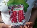 Fasola tyczna Jimenez Legutko 20 g