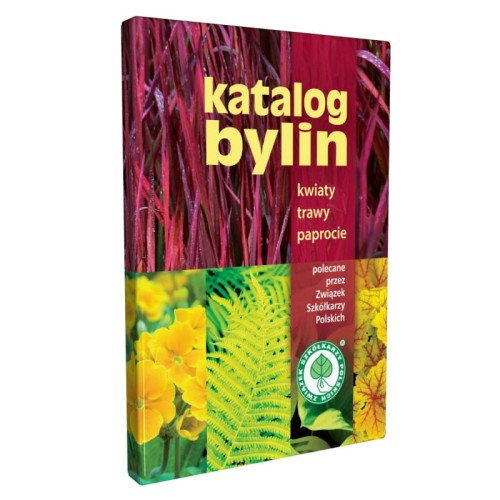 Katalog Bylin kwiaty, trawy, paprocie - książka
