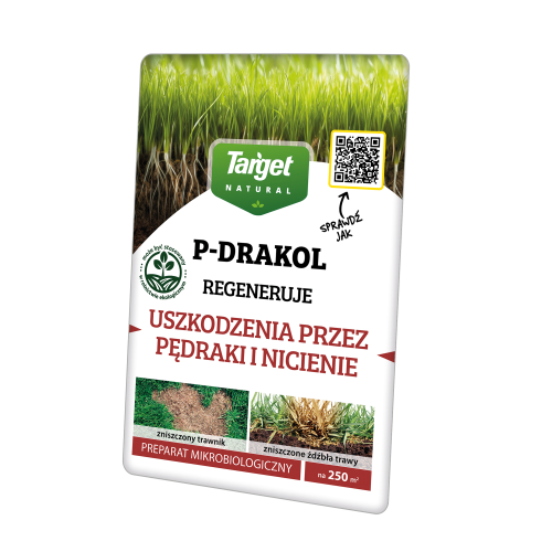 P-DRAKOL - PĘDRAKI, NICIENIE 20 G(1).png