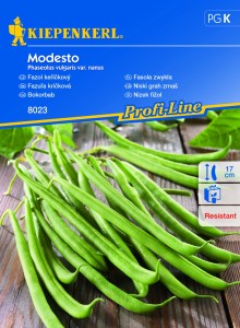 Fasola karłowa Modesto nasiona - Kiepenkerl