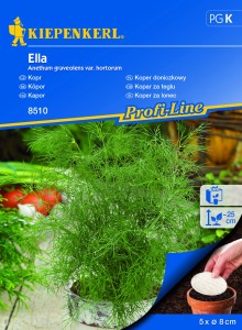 Koper doniczkowy Ella nasiona na krążku - Kiepenkerl