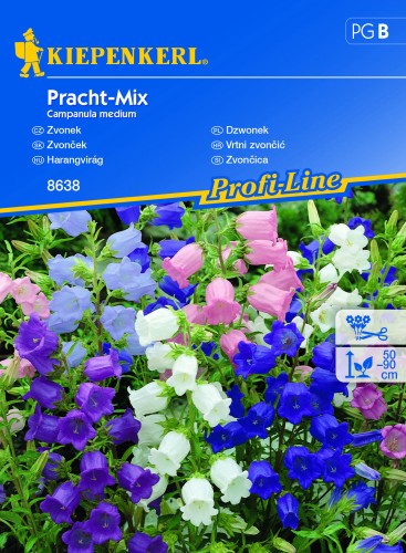 Dzwonek Pracht Mix nasiona - Kiepenkerl