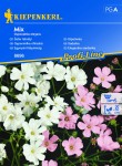Gipsówka Mix nasiona - Kiepenkerl