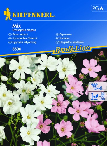 Gipsówka Mix nasiona - Kiepenkerl