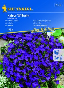 Lobelia przylądkowa Kaiser Wilhelm nasiona - Kiepenkerl