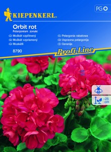 Pelargonia rabatowa Orbit rot F1 nasiona - Kiepenkerl