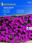 Petunia zwisająca Velvet Purple F1 nasiona - Kiepenkerl