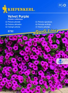 Petunia zwisająca Velvet Purple F1 nasiona - Kiepenkerl