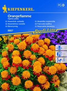 Aksamitka rozpierzchła Orangeflamme nasiona - Kiepenkerl