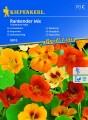 Nasturcja Rankender Mix nasiona - Kiepenkerl