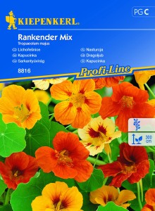 Nasturcja Rankender Mix nasiona - Kiepenkerl