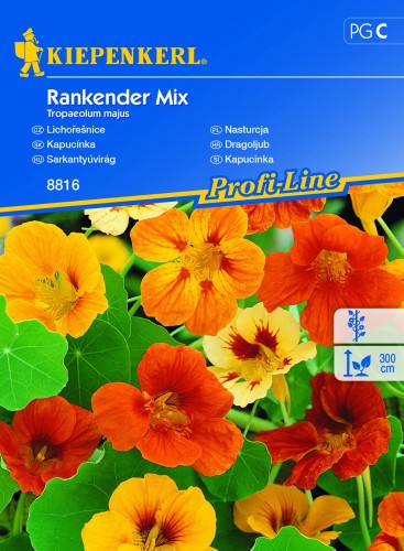 Nasturcja Rankender Mix nasiona - Kiepenkerl
