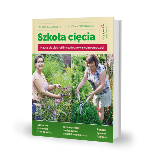 Książka Szkoła Cięcia