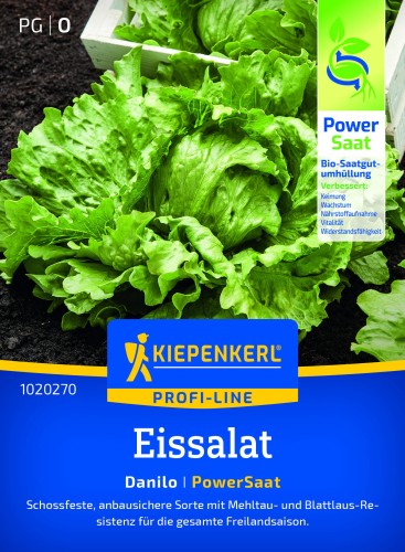 Sałata lodowa Danilo nasiona otoczkowane – Kiepenkerl