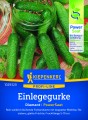 Ogórek konserwowy Diamant F1 nasiona otoczkowane - Kiepenkerl